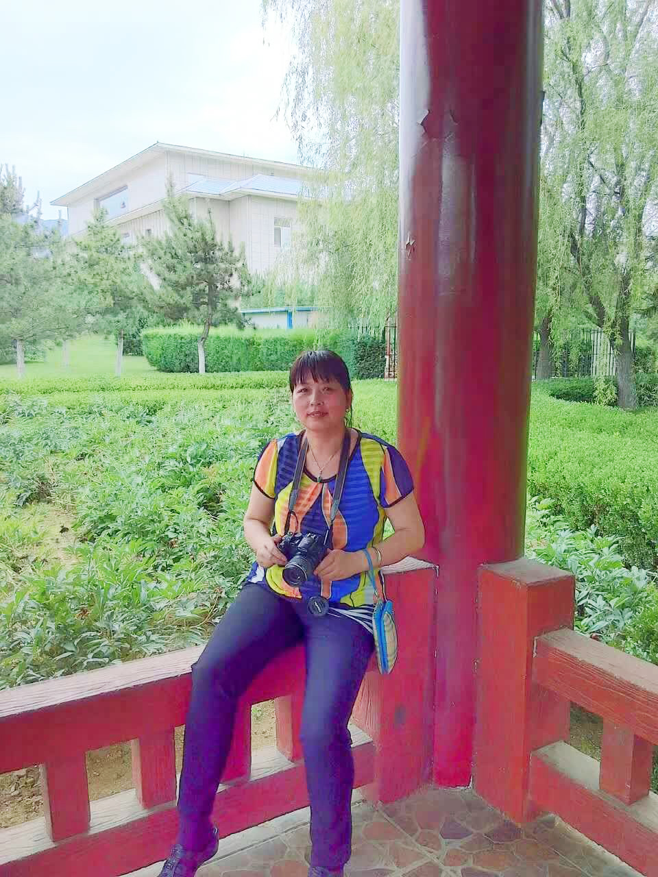 书画家张爱萍——作品赏析
